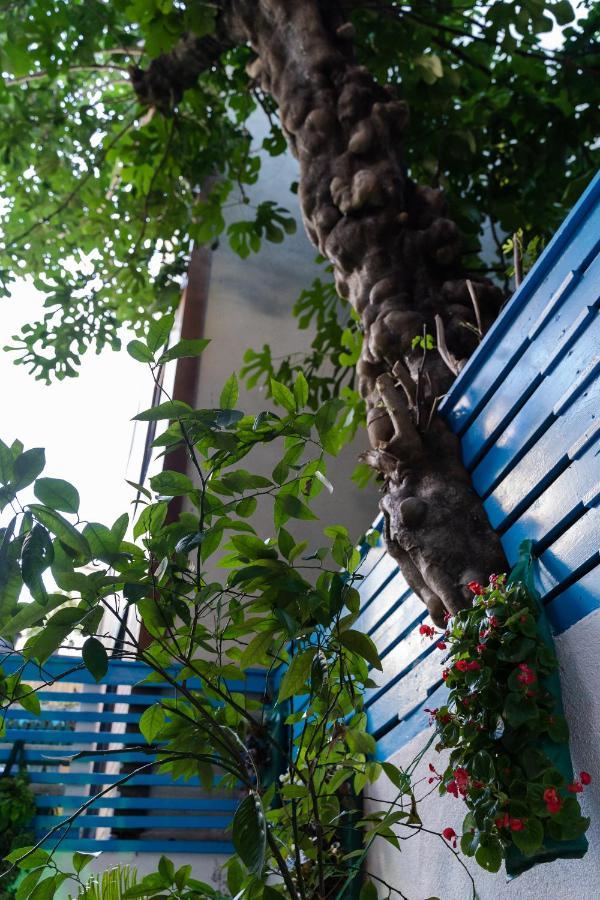 Sebnem Hotel Istanbul Luaran gambar
