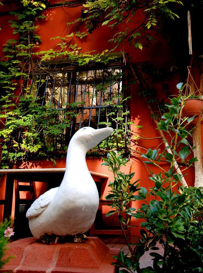 Sebnem Hotel Istanbul Luaran gambar